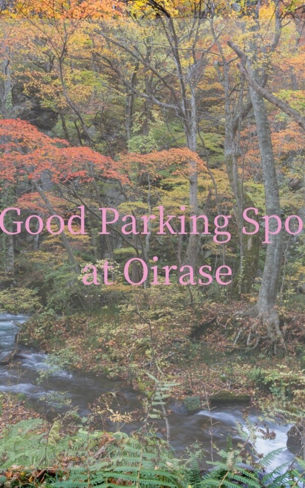 十和田湖遊覧船乗り場の駐車場に停めよう 奥入瀬渓流のおすすめルート マダムひろこの Elegant Journey